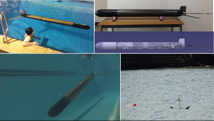 그림 11. 해양방위연구센터가 개발한 수중글라이더 시험시제 및 해상시험
