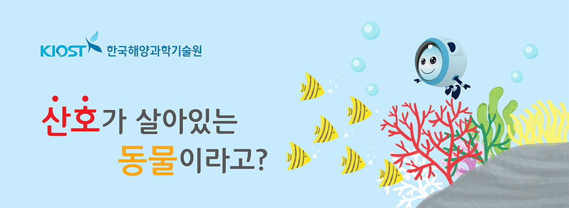 KIOSST 한국해양과학기술원 산호가 살아있는 동물이라고?