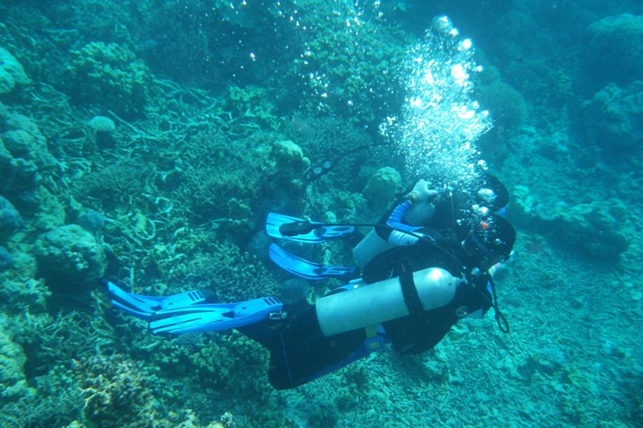 2011 열대해양체험 프로그램_image3