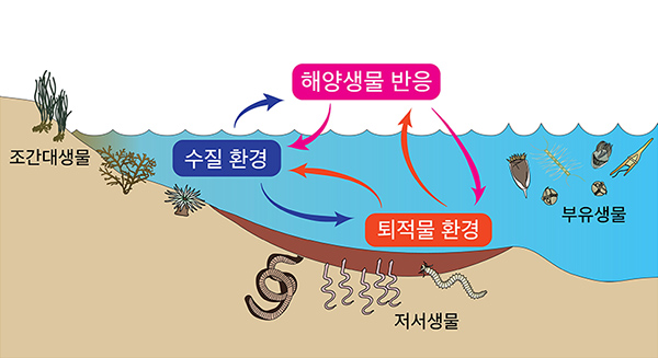 그림 1. 해양생태계의 유기적 관계